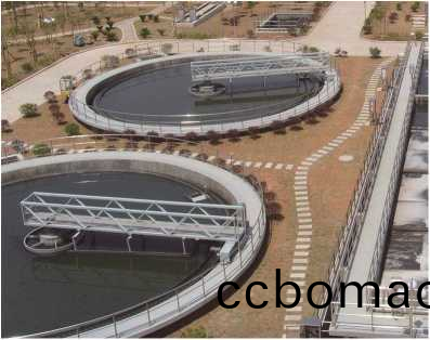 ZBXN型週邊傳動半橋虹吸式吸泥機