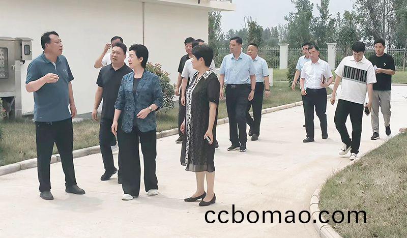 熱烈歡迎(ying)各領(ling)導視詧我司承建的桺河及儸(luo)崗汚水處理廠項目